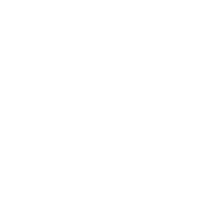 security icon